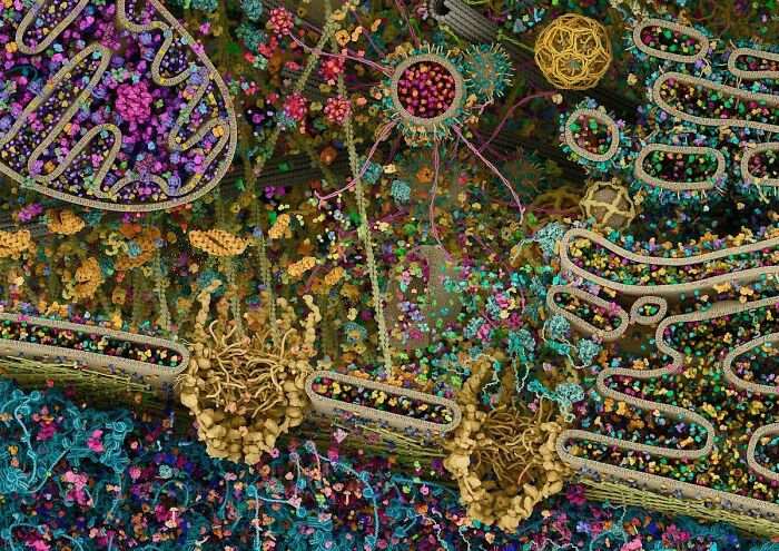 The Most Insane Close-Up of a Human Cell Ever