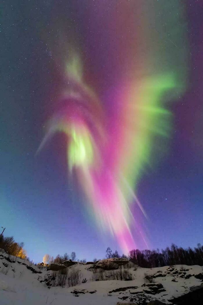 Auroral Hummingbird Over Norway? Yep! (Photo: Mickael Coulon)