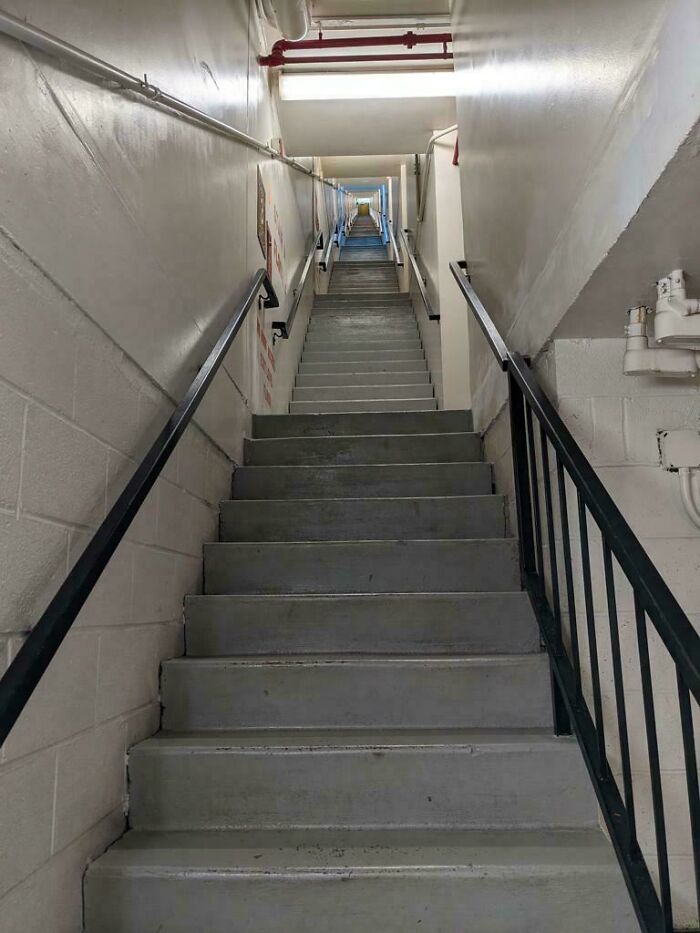 These 78 Pics Will Make You Say "Wait, What?!" Because Yes, They Really Exist