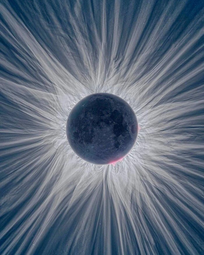 These 78 Pics Will Make You Say "Wait, What?!" Because Yes, They Really Exist