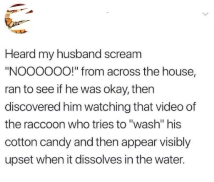 Wait, Husbands Said This?! Funniest Partner Tweets Ever