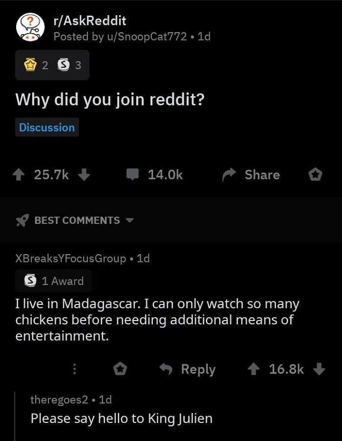 Comments That Make You Go "Yep, Spot On!"