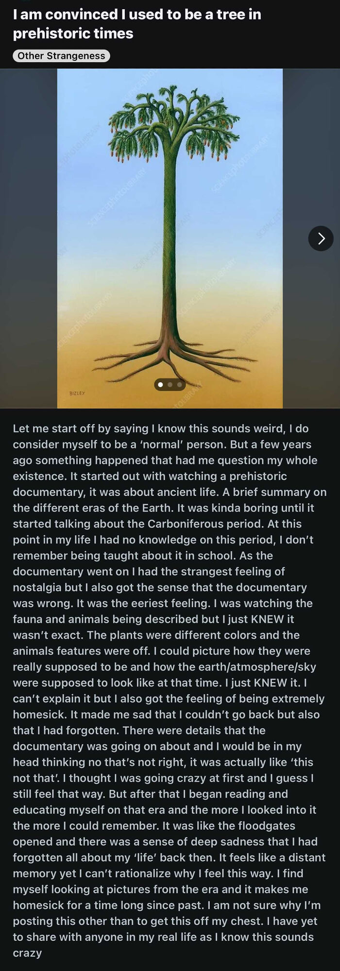 This Guy Thinks He’s A Prehistoric Tree. Yeah, Really.