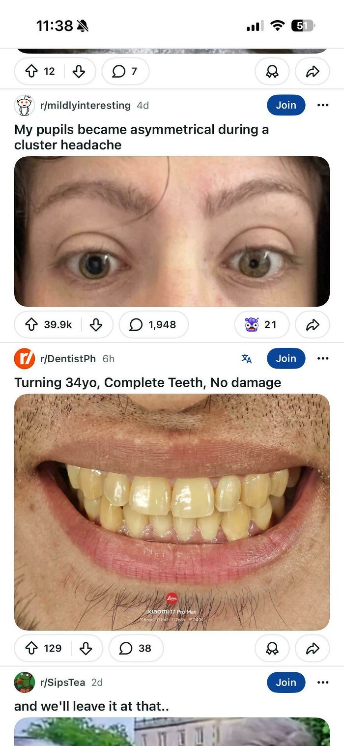 Reddit Summed Up In One Epic Scroll