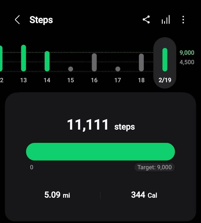 Check Out My Steps Today!