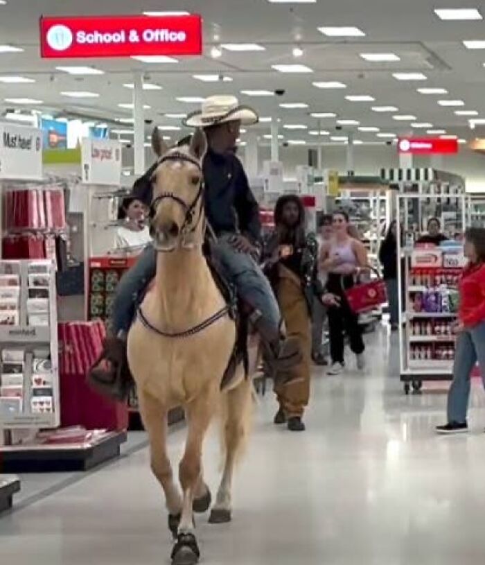 Horse at Target? Bet No One Saw That Coming