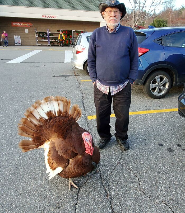 This Guy Had His Pet Turkey Tagging Along At The Grocery Store