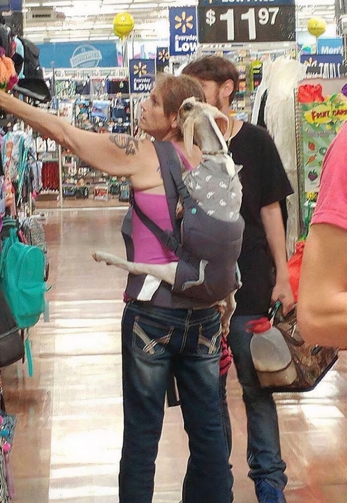 At Walmart, You Can Bring Absolutely Anything With You!