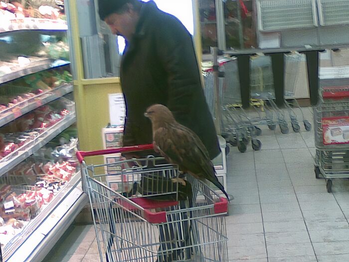 Just A Guy Shopping With His Bird Buddy