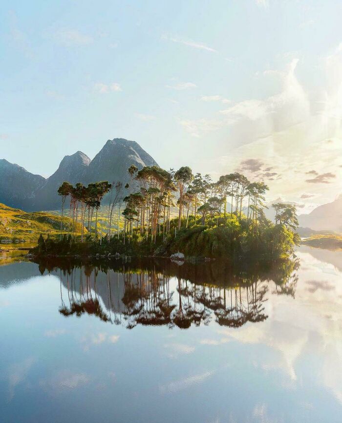 Pine Island In Galway, Ireland: Not Your Usual Green