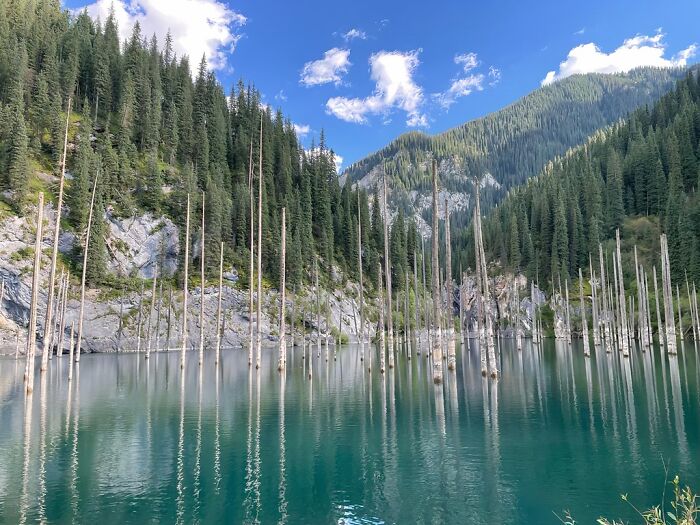Kolsay Lakes National Park, Kazakhstan: Tree-Tombed Lake
