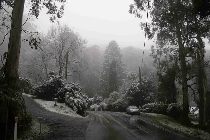 Ferny Creek, Australia: Snowy Surprise