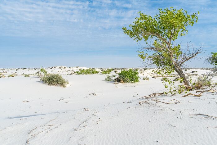 White Sands National Park, USA: A Desert Adventure