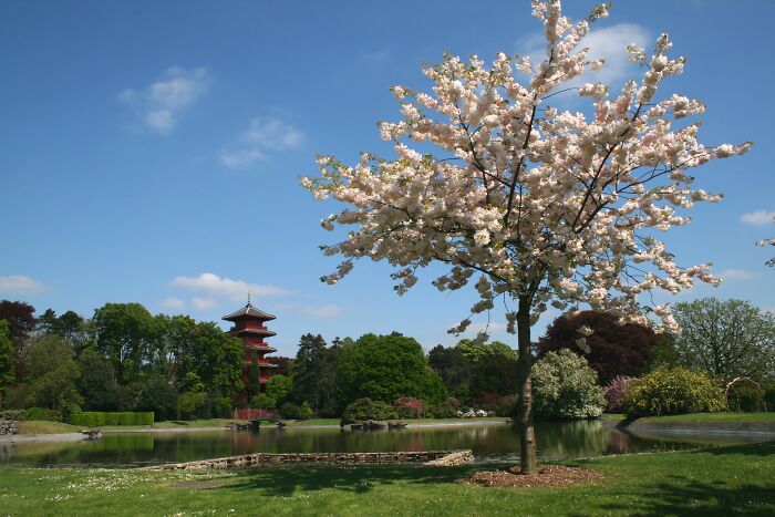 Laeken Gardens, Belgium: Royal Blooms and Views