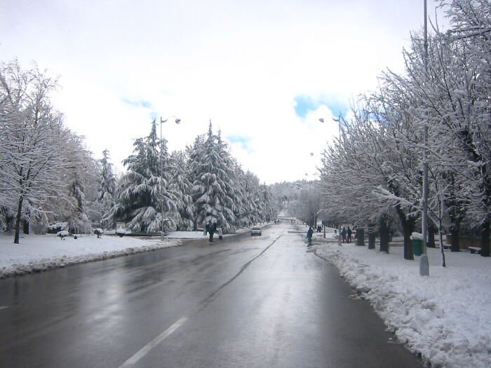 Ifrane, Morocco: The Swiss Town Of Africa