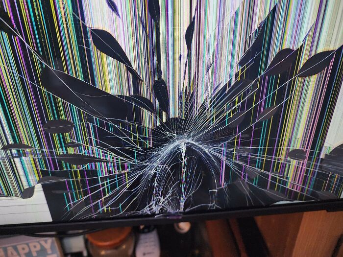 Is This Damage Possible For A 2-Year-Old? Spoiler: Maybe.