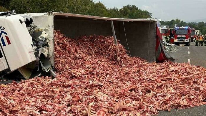 Truck Full of Meat Scraps Goes Topsy-Turvy On German Highway