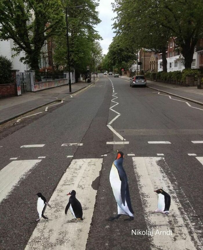 Wait, These Street Paintings Are Like Magic!