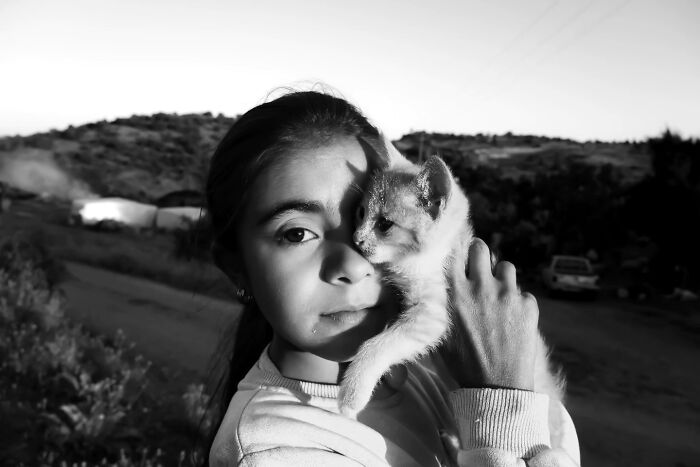 Wait, Cats Taking Over Streets? These Pics Are Purr-fectly Amazing!