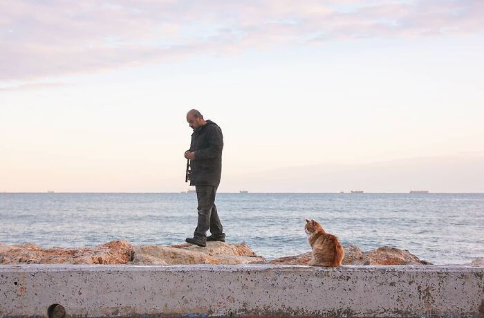 Wait, Cats Taking Over Streets? These Pics Are Purr-fectly Amazing!