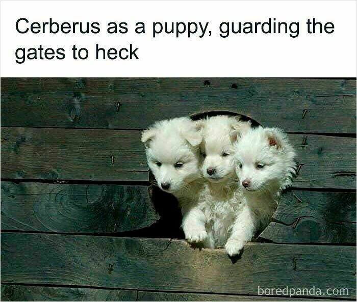 Let's Dive Into 83 Seriously Feel-Good Posts That'll Brighten Your Day