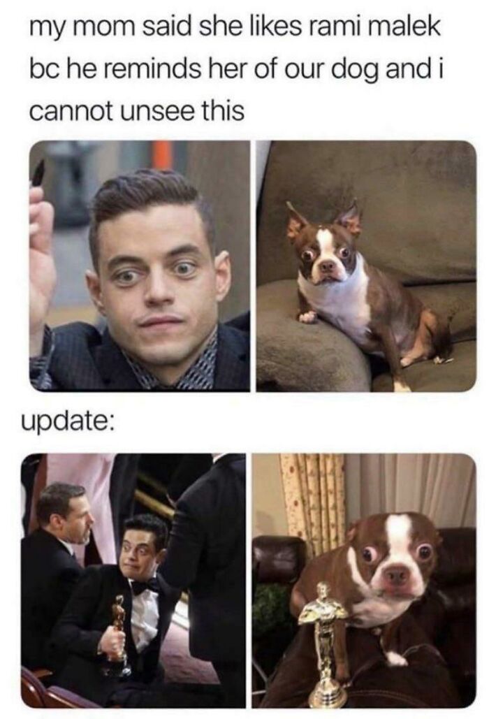 Let's Dive Into 83 Seriously Feel-Good Posts That'll Brighten Your Day