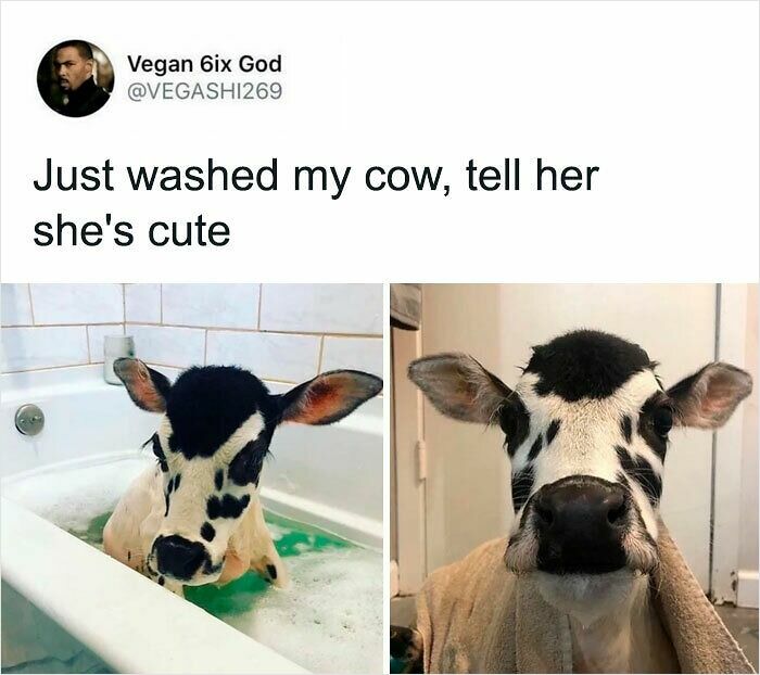 Let's Dive Into 83 Seriously Feel-Good Posts That'll Brighten Your Day