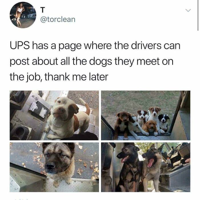 Let's Dive Into 83 Seriously Feel-Good Posts That'll Brighten Your Day