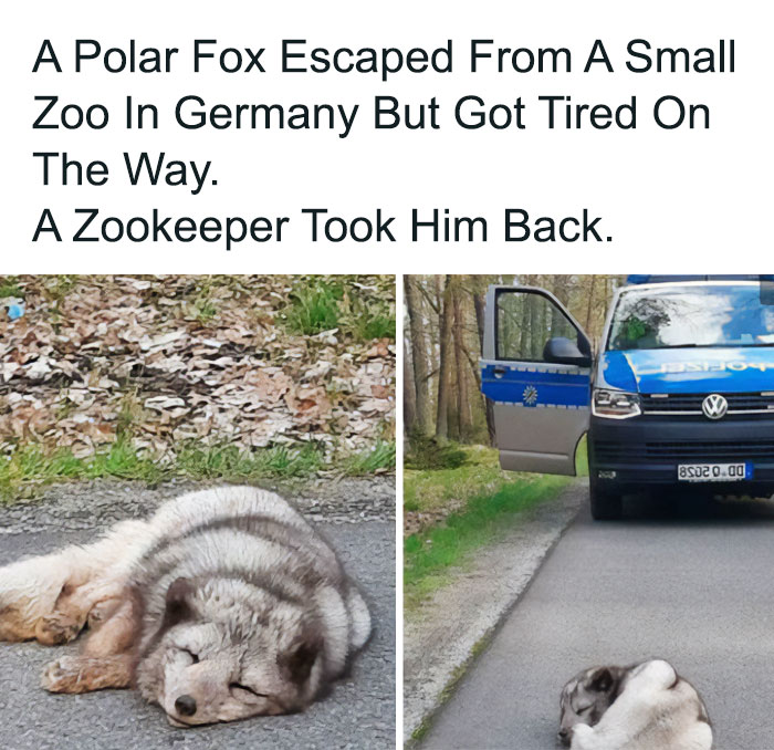 Let's Dive Into 83 Seriously Feel-Good Posts That'll Brighten Your Day