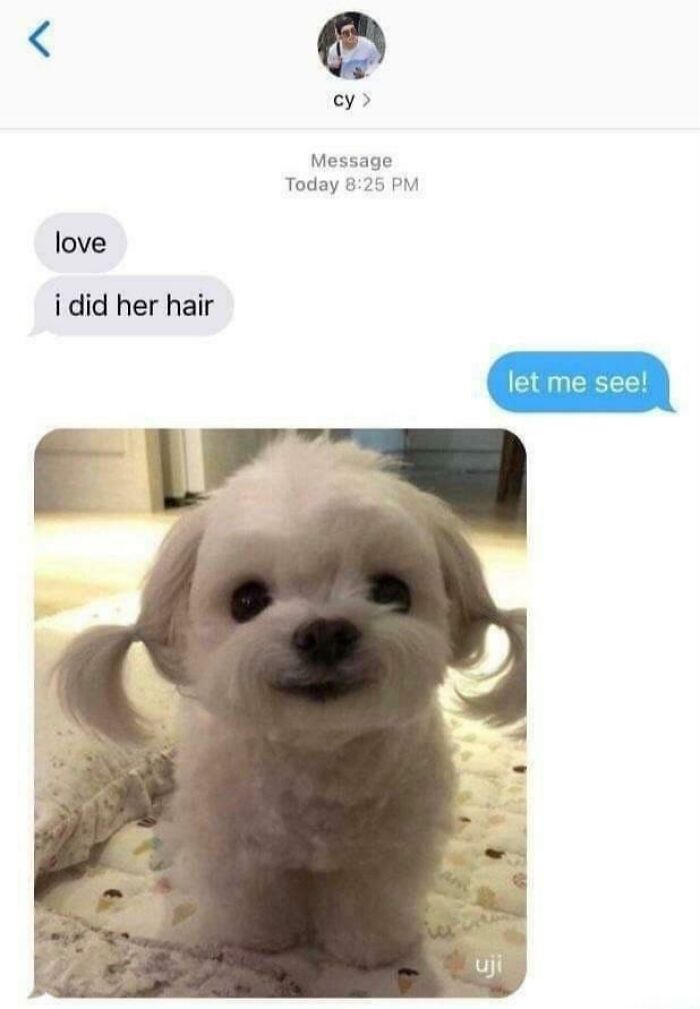 Let's Dive Into 83 Seriously Feel-Good Posts That'll Brighten Your Day