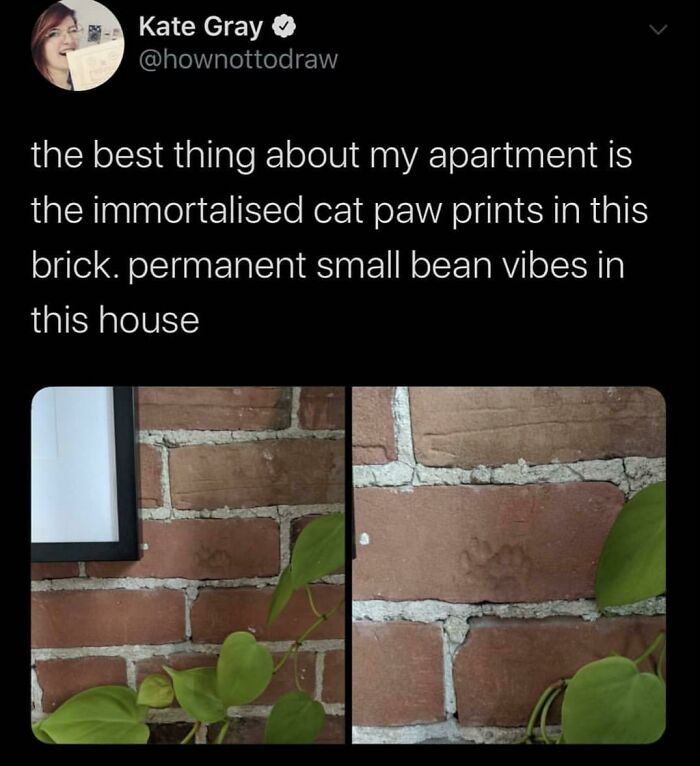 Let's Dive Into 83 Seriously Feel-Good Posts That'll Brighten Your Day