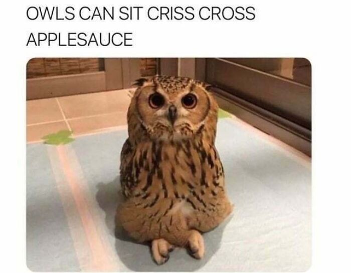 Let's Dive Into 83 Seriously Feel-Good Posts That'll Brighten Your Day