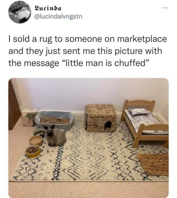 Let's Dive Into 83 Seriously Feel-Good Posts That'll Brighten Your Day