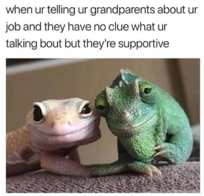 Let's Dive Into 83 Seriously Feel-Good Posts That'll Brighten Your Day