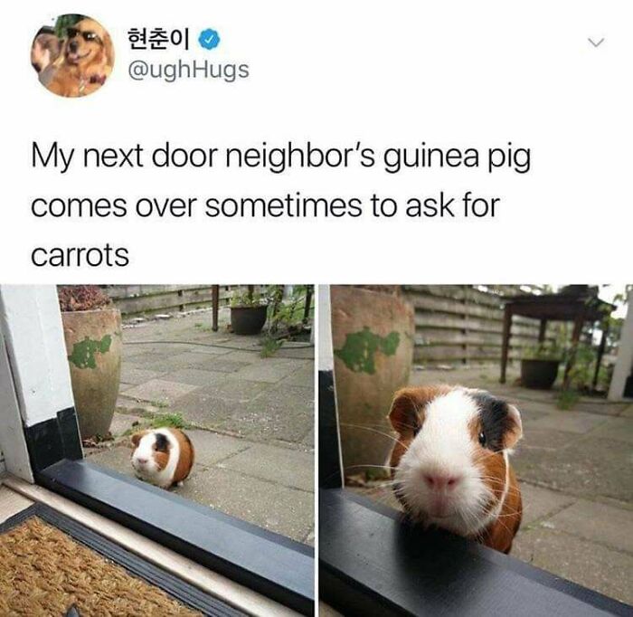 Let's Dive Into 83 Seriously Feel-Good Posts That'll Brighten Your Day
