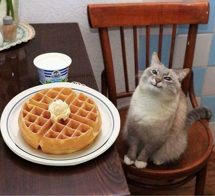 Let's Dive Into 83 Seriously Feel-Good Posts That'll Brighten Your Day
