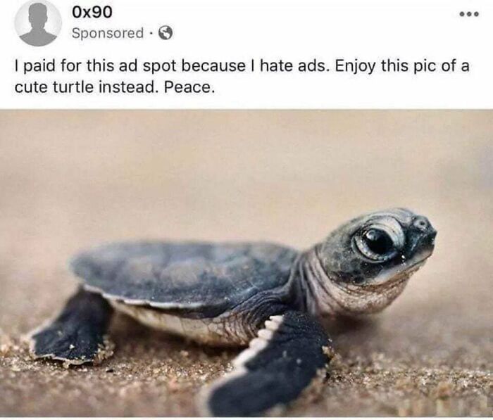 Let's Dive Into 83 Seriously Feel-Good Posts That'll Brighten Your Day