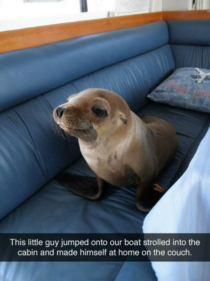Let's Dive Into 83 Seriously Feel-Good Posts That'll Brighten Your Day