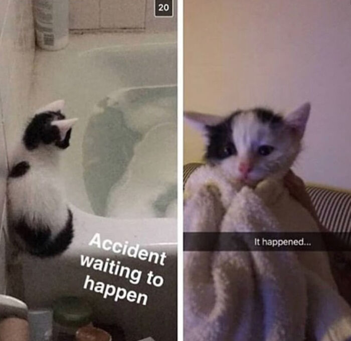 Let's Dive Into 83 Seriously Feel-Good Posts That'll Brighten Your Day