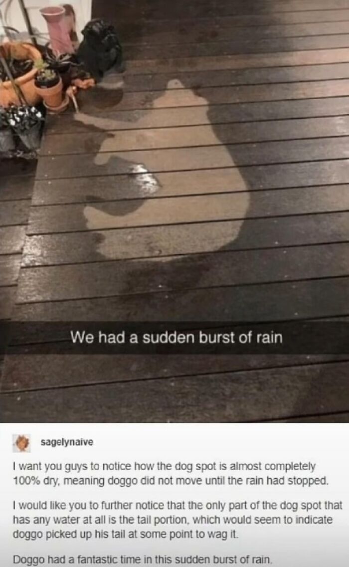 Let's Dive Into 83 Seriously Feel-Good Posts That'll Brighten Your Day