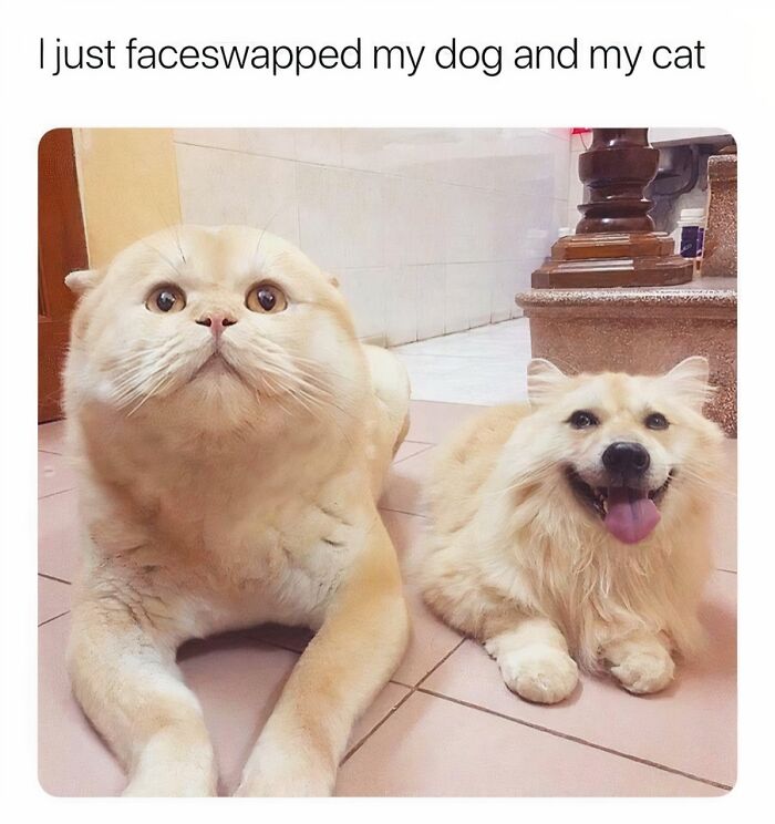 Let's Dive Into 83 Seriously Feel-Good Posts That'll Brighten Your Day
