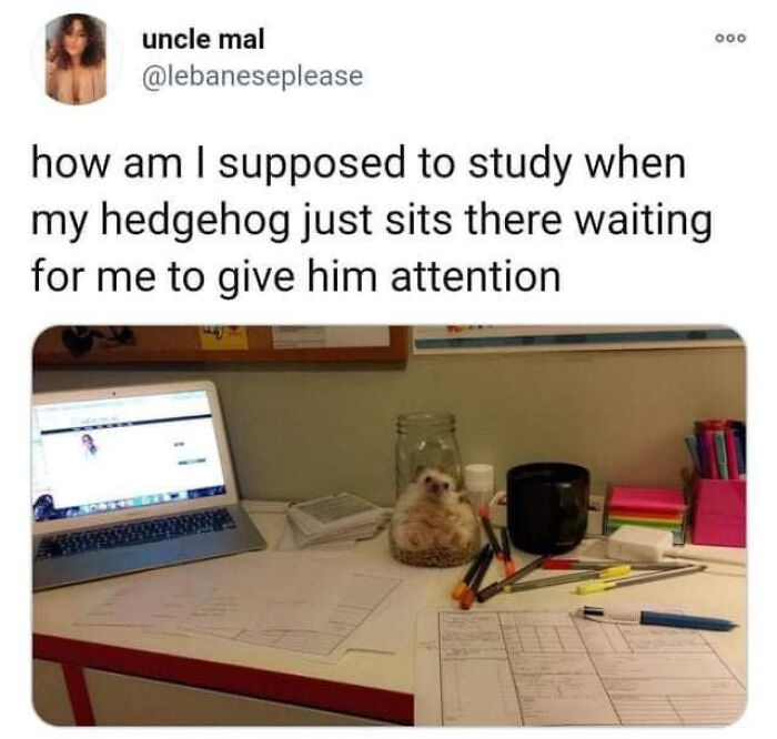 Let's Dive Into 83 Seriously Feel-Good Posts That'll Brighten Your Day