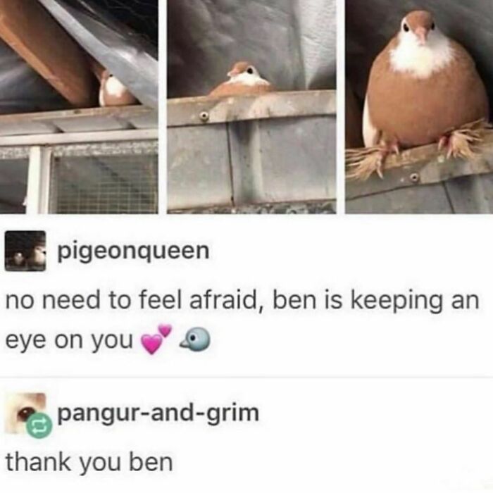 Let's Dive Into 83 Seriously Feel-Good Posts That'll Brighten Your Day