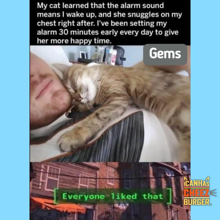 41 Cat Posts That Will Make You Laugh, Melt, and Go 'Awwwww!'