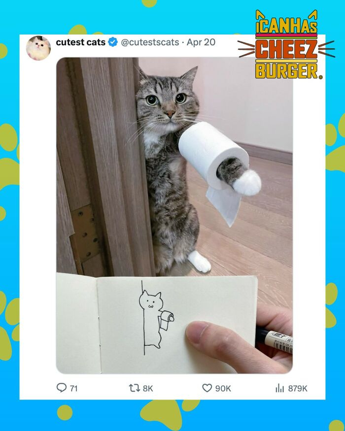 41 Cat Posts That Will Make You Laugh, Melt, and Go 'Awwwww!'