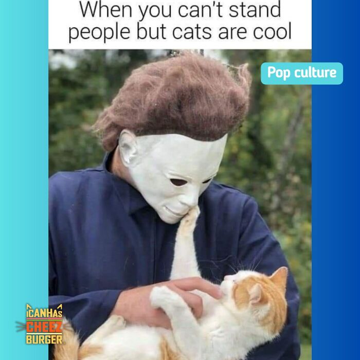 41 Cat Posts That Will Make You Laugh, Melt, and Go 'Awwwww!'