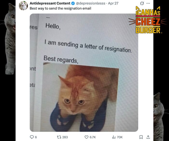 41 Cat Posts That Will Make You Laugh, Melt, and Go 'Awwwww!'