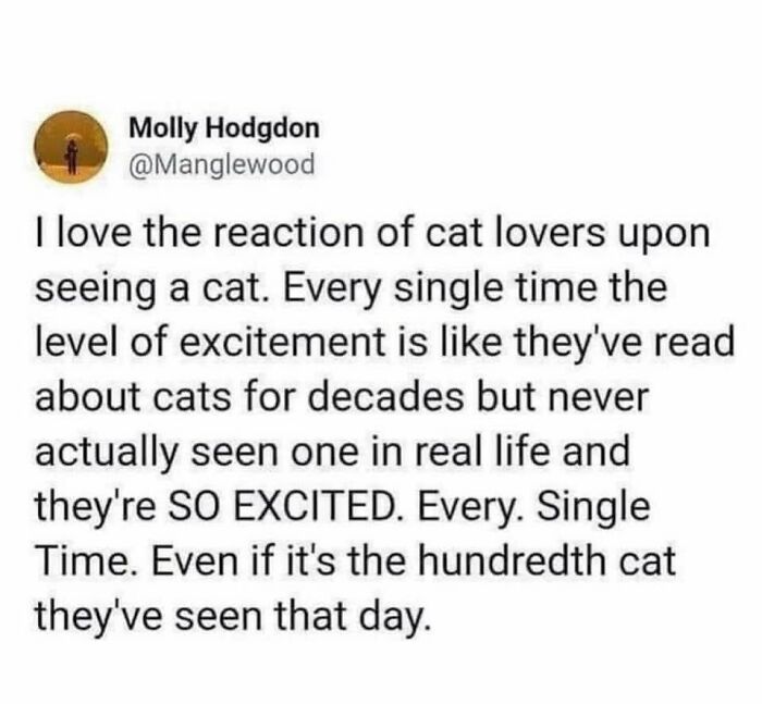These 79 Cat Memes Are So Good, You’ll Wish You Could Actually Tag Your Kitty