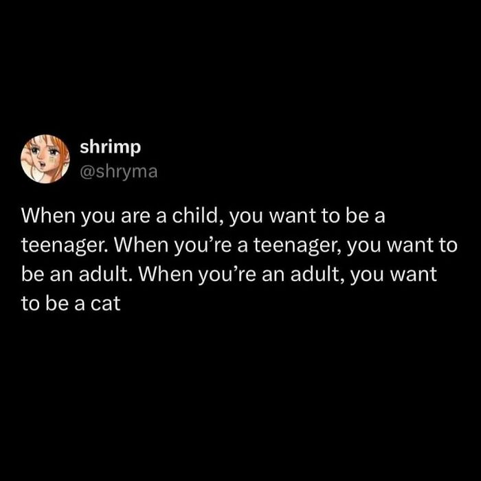 These 79 Cat Memes Are So Good, You’ll Wish You Could Actually Tag Your Kitty