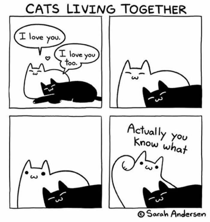 These 79 Cat Memes Are So Good, You’ll Wish You Could Actually Tag Your Kitty